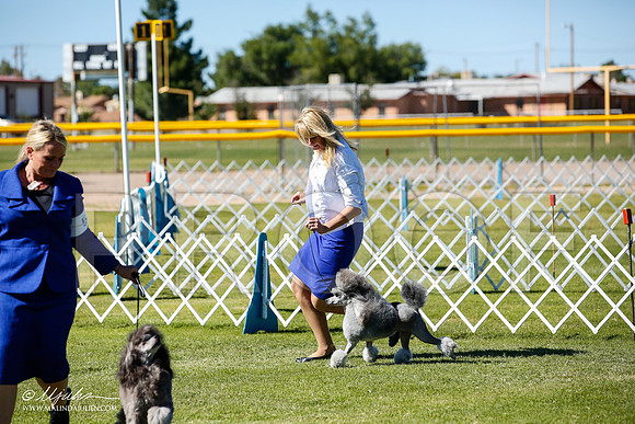 _JN_9421-AlamogordoOct2014-HR3