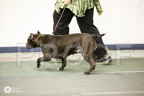 APBT-0740-DntnMar14-HR3