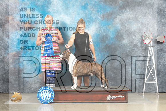 American Staffordshire Terrier #15 Sat G1 Judge Debra Thornton_MJ_4478_Amarillo_2022_HR3