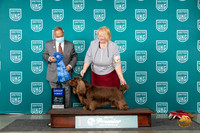 Sussex #472 Sat G1 Judge Stan Matsumoto