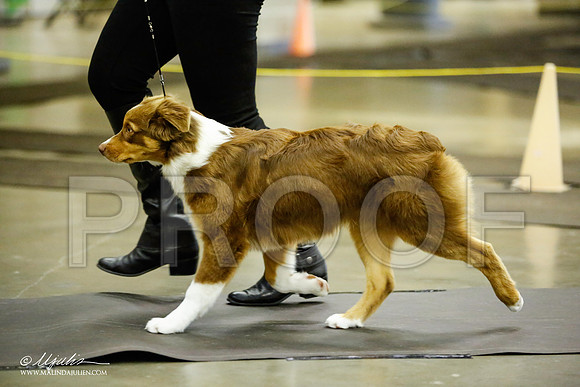 _JJ_6038-BeltonJan2015IABCA-HR3