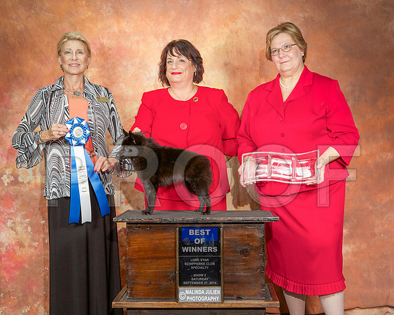 _ST_2518-CarlrolltonSept2014-HR3