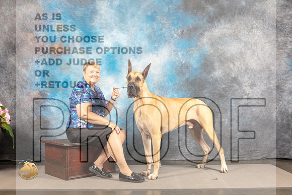 Great Dane #11 SAT CUSTOM_MJ_6256_Houston_2022_HR3
