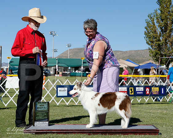 _ST_3260-2-AlamogordoOct2014-HR3
