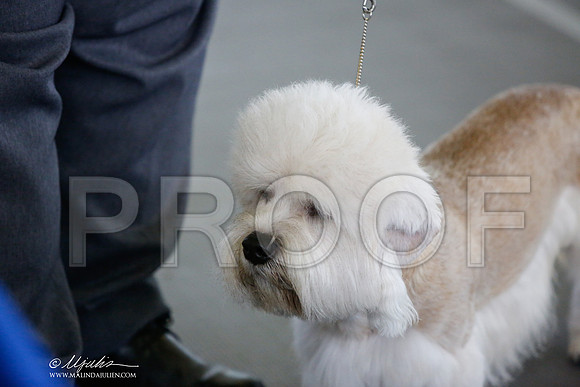 _JJ_2245-DallasJul2014-HR3