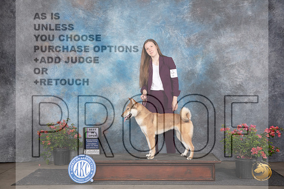 Shikoku #5 Sat BIOpenShow Judge Elizabeth ‘Beth’ Sweigart__JP_5273_San Antonio_2024_HR3