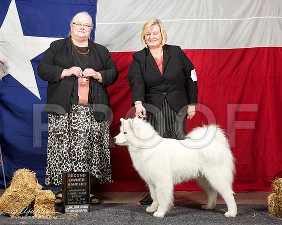 _ST_1632-AmarilloSep2014-HR3
