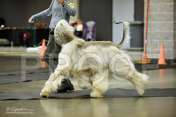 _RH_1269-BeltonJan2015IABCA-HR3