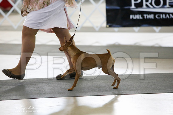 _CK_0087-DallasJul2014-HR3