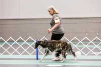 Silken Windhound Ring FRi Ring 1