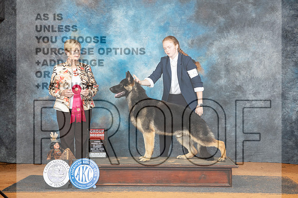 German Shepherd Dog #5 Sun G2 Judge Karen Hynek__JP_8691_MARSHALL_2024_HR3