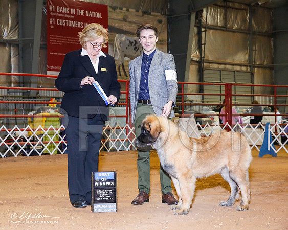 _RH_8997-2-GlenRoseJan2015-HR3