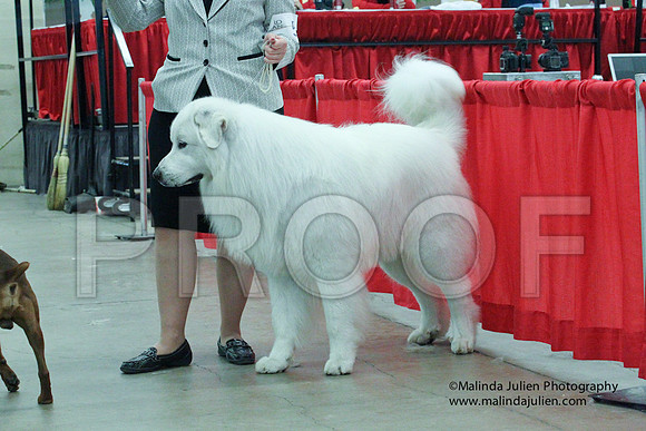 GrpWorkSun-4095LR