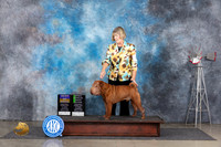 Shar Pei #5 Thurs BOBOHG2 Judge Pat Trotter