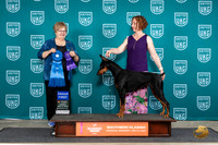 Doberman Pinscher #109 Sun G1 Judge Mary Ellen Meyer