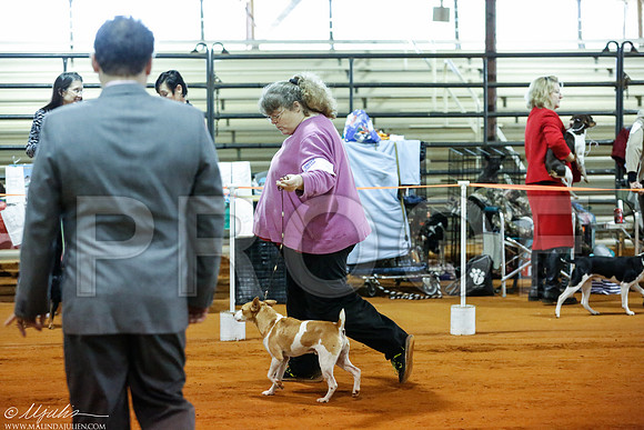_RH_1073-MarshDec2014-HR