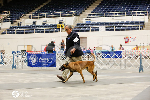 _JJ_8945-AblnMay2014-web