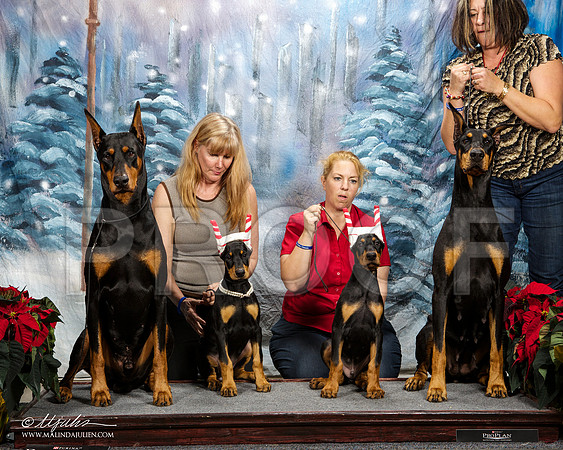 _ST_8348-DallasDec2014-HR3