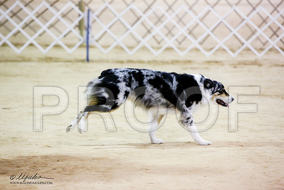 _JN_7103-ASCACollegeStationNov2014-HR3