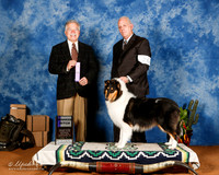 Collie Rough #26 Sat WB