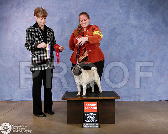 Pug-7833-Waco14-HR