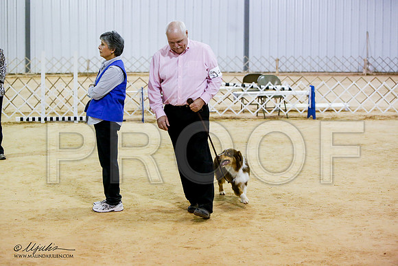 _JN_8114-ASCACollegeStationNov2014-HR3