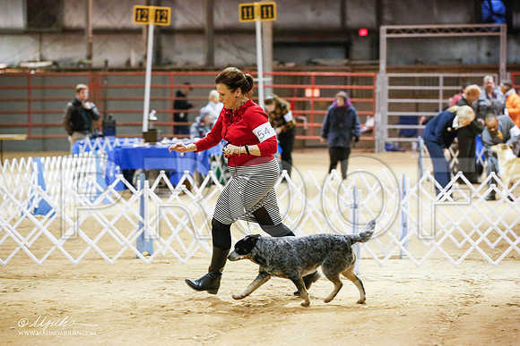 _JN_4714-2-GlenRoseJan2015-HR3
