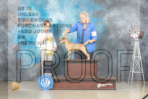 Border Terrier #5 Thur G2 Judge Sharron Derrick_MJ_3623_Amarillo_2022_HR3