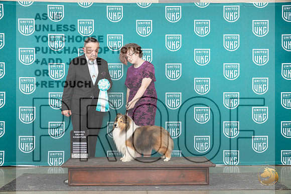 Shetland Sheepdog #19 Wed RGCH Judge Keith Kozakiewicz__JP_0544_Premier_2024_HR3