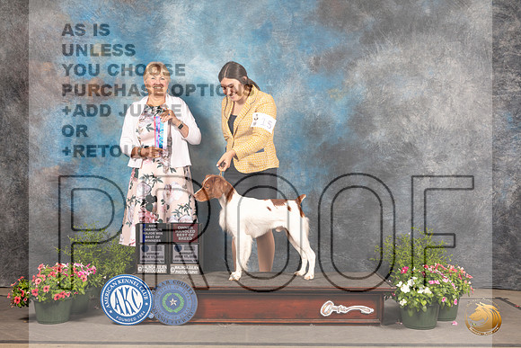 Brittany #15 Sun BOW Judge Debra Thornton_MJ_1298_SA_2022_HR3