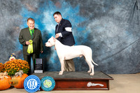 Dogo #7 Sat OHRBIS Judge Del Richards