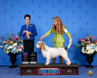 Cindy Wilt  Houston 2024