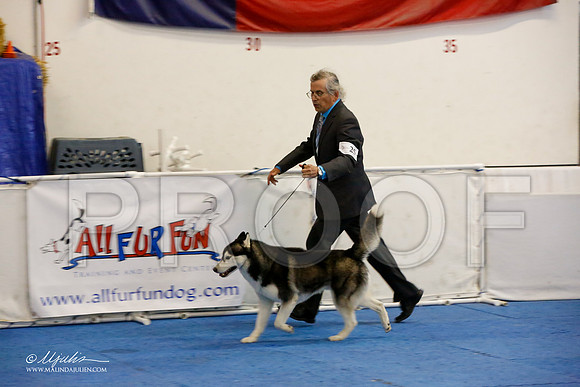 _M3_1283-AddisonHuskyMar2015-HR3
