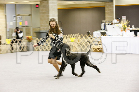 _JJ_7991-AfgBeltonOct2014-HR3