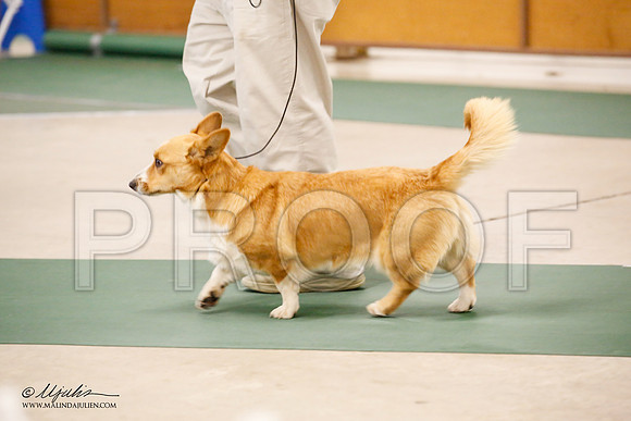 _JN_1821-NrmnNov2014-HR3