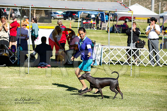 _JN_1437-AlamogordoOct2014-HR3
