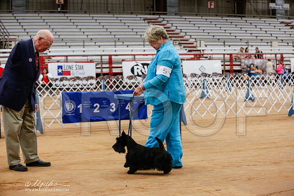 _JJ_6481-TxArJun2014-HR3
