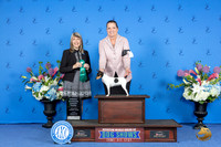 Toy Fox Terrier #6 FRI OHG3 Judge Angela Pickett