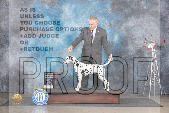 Dalmatian #6 Sat G4 Judge Pat Trotter__JP_6225_Amarillo_2024_HR3