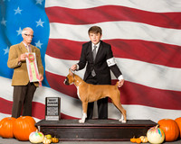 Boxers #J600 Sun BJ Kelly Susan Ann Irwin Judge Mr Robert R Frost