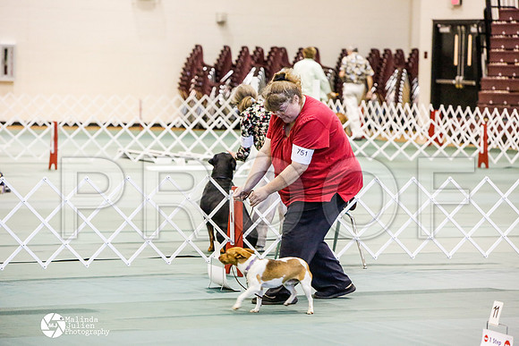_JJ_2826-BsrCtyJun2014-HR3