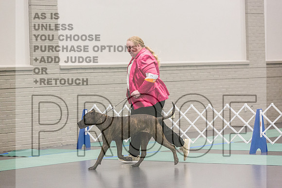 Pressa Ring Fri Ring 1_JJL_5050_UKCLNGVIEWOCT2024_2024_HR3