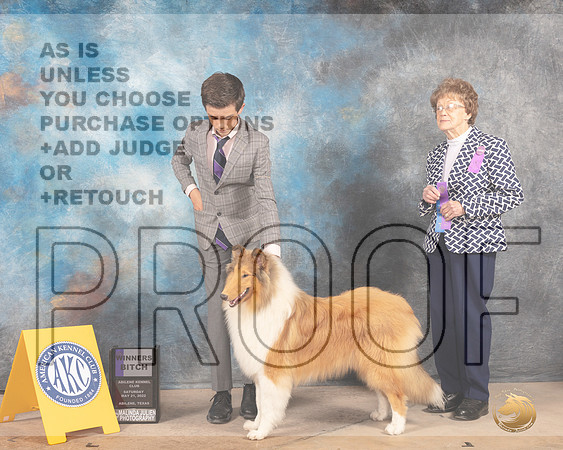 Rough Collie #20 Sat WB Judge Pat Trotter-MMJ_4056-Abilene2022-HR3