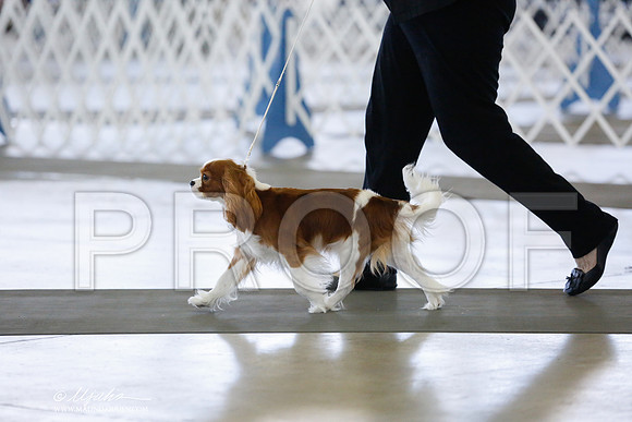 _RH_1394-DallasJul2014-HR3