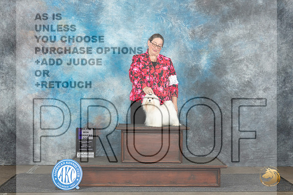 Maltese #15 Mon WDM Judge Sharon Newcomb__JP_4412_Lubbock_2024_HR3