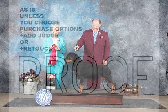 Rottweiler #10 Sat G2 Judge Sulie Greenndale-Paveza__JP_7413_Belton_2024_HR3