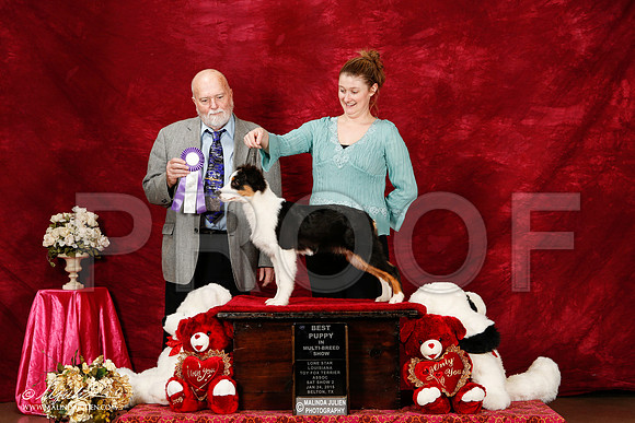 _ST_2472-2-BeltonJan2015-HR3