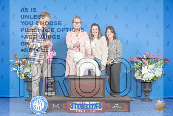Bichon Frise #16 THUR OHG1 Judge Wood Wornall__JP_8463_Houston_2024_HR3