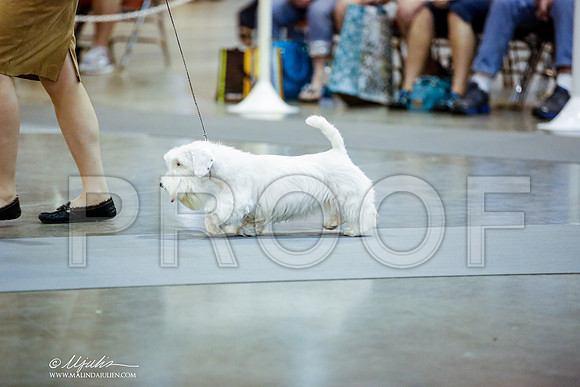 _JN_9627-HstnJul2014-HR3