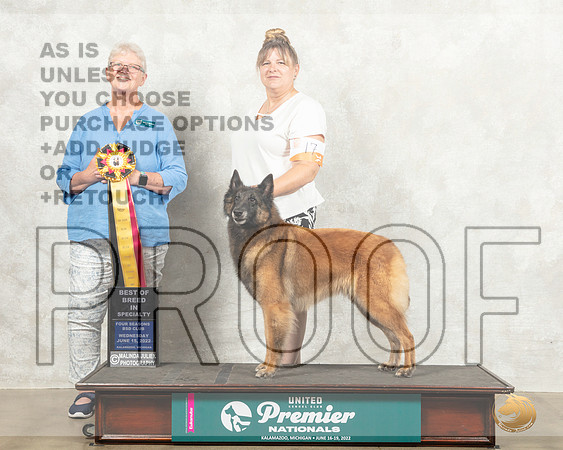Belgian Shepherd Dog #77 Wed BOB Judge Alleyene Dickens_MMJ_6866_Premier_2022_HR3